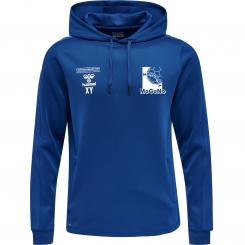 Hoody Herren 